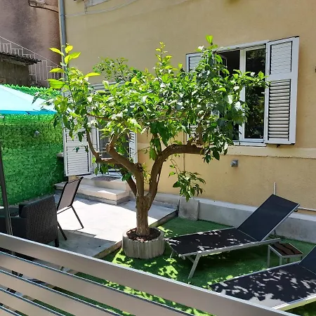 Blue Harmony * 斯普利特