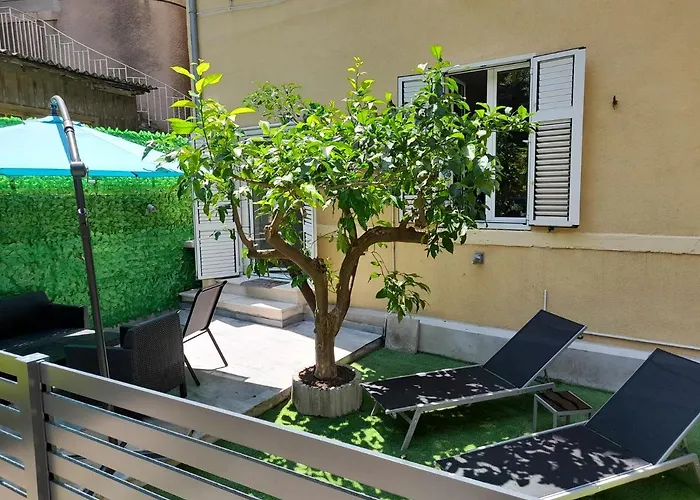 Blue Harmony * ספליט